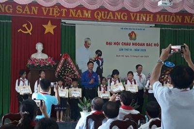 Tham dự đại hội cháu ngoan Bác Hồ cấp TX