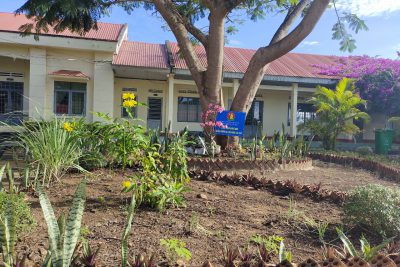 chăm sóc công trình măng non chào mừng đại hội Đoàn các cấp
